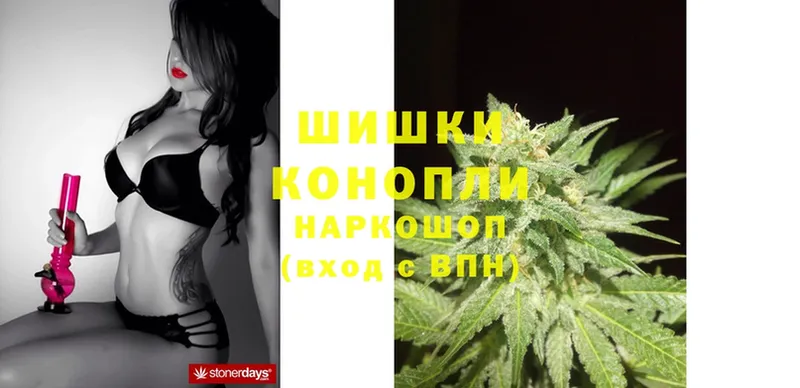 Бошки Шишки THC 21%  купить наркотик  Мамадыш 